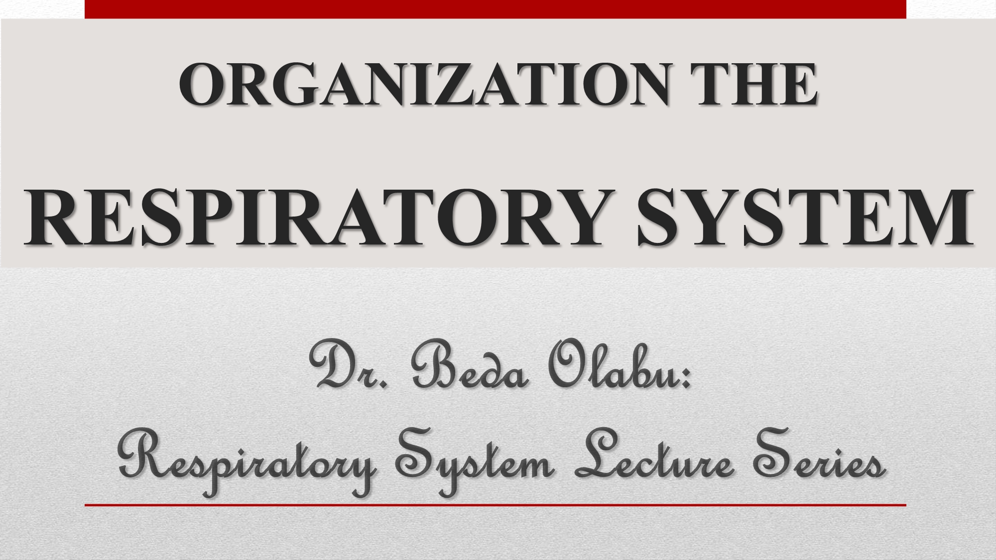 No preview available